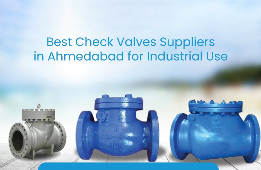 check valves suppliers in Ahmedabad for industrial use by Metflow Engineers